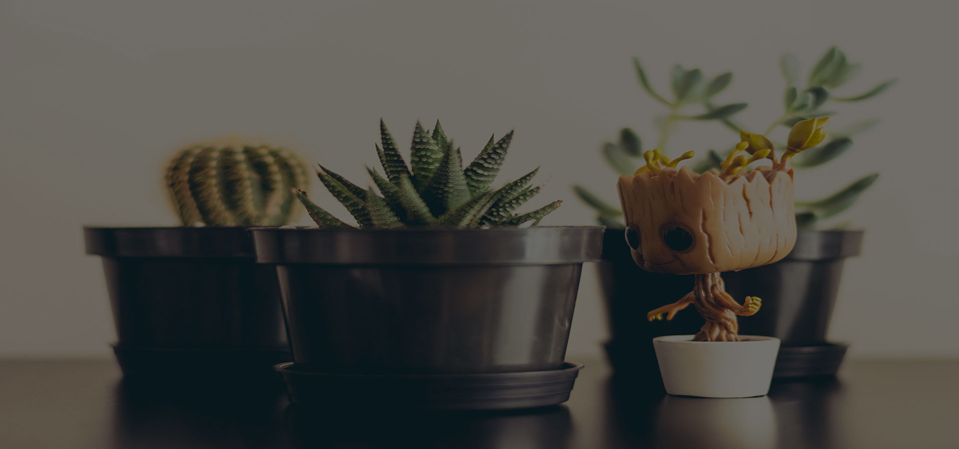 Sustainable privacy governance